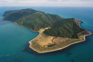 Kapiti Island visit